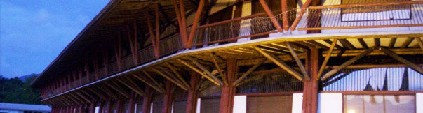 Slideshow Image 5