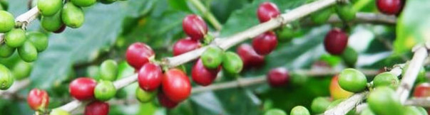 Slideshow Image 6