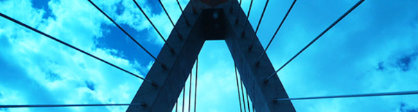 Slideshow Image 7